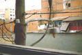 Beeldnr : 18 van 36
Naam : 940119.jpg
Folder : fotos/jaren-199x/1994-2/eclipsreis-bolivia/rolletje-1/
Formaat : 580 x 390px
Thumb : 120 x 81px
Richting : Landschap
Bloknr : 1 van 1
Beeldnrs : 1 tm 36
Beelden in blok : 36