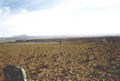 Beeldnr : 2 van 29
Naam : 940302.jpg
Folder : fotos/jaren-199x/1994-2/eclipsreis-bolivia/rolletje-3/
Formaat : 575 x 388px
Thumb : 120 x 81px
Richting : Landschap
Bloknr : 1 van 1
Beeldnrs : 1 tm 29
Beelden in blok : 29