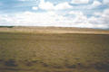 Beeldnr : 2 van 36
Naam : 940402.jpg
Folder : fotos/jaren-199x/1994-2/eclipsreis-bolivia/rolletje-4/
Formaat : 579 x 385px
Thumb : 120 x 80px
Richting : Landschap
Bloknr : 1 van 1
Beeldnrs : 1 tm 36
Beelden in blok : 36