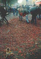 Beeldnr : 10 van 63
Naam : a950909.jpg
Folder : fotos/jaren-199x/1995-2/ajax-gremio/28-nov/
Formaat : 390 x 560px
Thumb : 84 x 120px
Richting : Portret
Bloknr : 1 van 2
Beeldnrs : 1 tm 50
Beelden in blok : 50