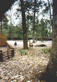 Beeldnr : 18 van 34
Naam : 980321a.jpg
Folder : fotos/jaren-199x/1998-2/eclipsreis-curacao/rolletje-3/
Formaat : 390 x 560px
Thumb : 84 x 120px
Richting : Portret
Bloknr : 1 van 1
Beeldnrs : 1 tm 34
Beelden in blok : 34