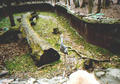 Beeldnr : 19 van 34
Naam : 980322a.jpg
Folder : fotos/jaren-199x/1998-2/eclipsreis-curacao/rolletje-3/
Formaat : 560 x 390px
Thumb : 120 x 84px
Richting : Landschap
Bloknr : 1 van 1
Beeldnrs : 1 tm 34
Beelden in blok : 34