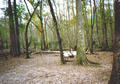 Beeldnr : 22 van 34
Naam : 980325a.jpg
Folder : fotos/jaren-199x/1998-2/eclipsreis-curacao/rolletje-3/
Formaat : 560 x 390px
Thumb : 120 x 84px
Richting : Landschap
Bloknr : 1 van 1
Beeldnrs : 1 tm 34
Beelden in blok : 34