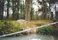 Beeldnr : 23 van 34
Naam : 980326a.jpg
Folder : fotos/jaren-199x/1998-2/eclipsreis-curacao/rolletje-3/
Formaat : 560 x 390px
Thumb : 120 x 84px
Richting : Landschap
Bloknr : 1 van 1
Beeldnrs : 1 tm 34
Beelden in blok : 34