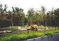 Beeldnr : 25 van 34
Naam : 980328a.jpg
Folder : fotos/jaren-199x/1998-2/eclipsreis-curacao/rolletje-3/
Formaat : 560 x 390px
Thumb : 120 x 84px
Richting : Landschap
Bloknr : 1 van 1
Beeldnrs : 1 tm 34
Beelden in blok : 34