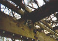 Beeldnr : 26 van 34
Naam : 980329a.jpg
Folder : fotos/jaren-199x/1998-2/eclipsreis-curacao/rolletje-3/
Formaat : 560 x 390px
Thumb : 120 x 84px
Richting : Landschap
Bloknr : 1 van 1
Beeldnrs : 1 tm 34
Beelden in blok : 34