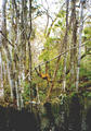Beeldnr : 28 van 34
Naam : 980331a.jpg
Folder : fotos/jaren-199x/1998-2/eclipsreis-curacao/rolletje-3/
Formaat : 390 x 560px
Thumb : 84 x 120px
Richting : Portret
Bloknr : 1 van 1
Beeldnrs : 1 tm 34
Beelden in blok : 34