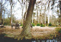 Beeldnr : 30 van 34
Naam : 980333a.jpg
Folder : fotos/jaren-199x/1998-2/eclipsreis-curacao/rolletje-3/
Formaat : 560 x 390px
Thumb : 120 x 84px
Richting : Landschap
Bloknr : 1 van 1
Beeldnrs : 1 tm 34
Beelden in blok : 34
