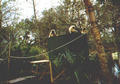 Beeldnr : 33 van 34
Naam : 980336a.jpg
Folder : fotos/jaren-199x/1998-2/eclipsreis-curacao/rolletje-3/
Formaat : 560 x 390px
Thumb : 120 x 84px
Richting : Landschap
Bloknr : 1 van 1
Beeldnrs : 1 tm 34
Beelden in blok : 34