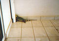 Beeldnr : 3 van 23
Naam : 980802.jpg
Folder : fotos/jaren-199x/1998-2/eclipsreis-curacao/rolletje-8/
Formaat : 560 x 390px
Thumb : 120 x 84px
Richting : Landschap
Bloknr : 1 van 1
Beeldnrs : 1 tm 23
Beelden in blok : 23