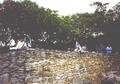 Beeldnr : 5 van 23
Naam : 980805.jpg
Folder : fotos/jaren-199x/1998-2/eclipsreis-curacao/rolletje-8/
Formaat : 560 x 390px
Thumb : 120 x 84px
Richting : Landschap
Bloknr : 1 van 1
Beeldnrs : 1 tm 23
Beelden in blok : 23