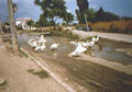 Beeldnr : 4 van 33
Naam : 990103.jpg
Folder : fotos/jaren-199x/1999-2/eclipsreis-bulgarije/rolletje-1/
Formaat : 560 x 390px
Thumb : 120 x 84px
Richting : Landschap
Bloknr : 1 van 1
Beeldnrs : 1 tm 33
Beelden in blok : 33