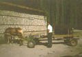 Beeldnr : 4 van 16
Naam : 990505.jpg
Folder : fotos/jaren-199x/1999-2/eclipsreis-bulgarije/rolletje-5/
Formaat : 560 x 390px
Thumb : 120 x 84px
Richting : Landschap
Bloknr : 1 van 1
Beeldnrs : 1 tm 16
Beelden in blok : 16