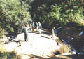Beeldnr : 2 van 36
Naam : f010603a.jpg
Folder : fotos/jaren-200x/2001-2/eclipsreis-zambia/set-2/
Formaat : 560 x 390px
Thumb : 120 x 84px
Richting : Landschap
Bloknr : 1 van 1
Beeldnrs : 1 tm 36
Beelden in blok : 36