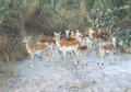 Beeldnr : 12 van 36
Naam : f010714.jpg
Folder : fotos/jaren-200x/2001-2/eclipsreis-zambia/set-2/
Formaat : 560 x 390px
Thumb : 120 x 84px
Richting : Landschap
Bloknr : 1 van 1
Beeldnrs : 1 tm 36
Beelden in blok : 36