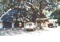 Beeldnr : 21 van 36
Naam : f010903.jpg
Folder : fotos/jaren-200x/2001-2/eclipsreis-zambia/set-2/
Formaat : 560 x 390px
Thumb : 120 x 84px
Richting : Landschap
Bloknr : 1 van 1
Beeldnrs : 1 tm 36
Beelden in blok : 36