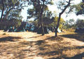 Beeldnr : 32 van 36
Naam : f011018a.jpg
Folder : fotos/jaren-200x/2001-2/eclipsreis-zambia/set-2/
Formaat : 560 x 390px
Thumb : 120 x 84px
Richting : Landschap
Bloknr : 1 van 1
Beeldnrs : 1 tm 36
Beelden in blok : 36