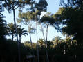 Beeldnr : 35 van 46
Naam : 05022152.jpg
Folder : fotos/jaren-200x/2005-2/barcelona/21-feb/
Formaat : 800 x 600px
Thumb : 120 x 90px
Richting : Landschap
Bloknr : 1 van 1
Beeldnrs : 1 tm 46
Beelden in blok : 46