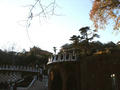 Beeldnr : 41 van 46
Naam : 05022158.jpg
Folder : fotos/jaren-200x/2005-2/barcelona/21-feb/
Formaat : 800 x 600px
Thumb : 120 x 90px
Richting : Landschap
Bloknr : 1 van 1
Beeldnrs : 1 tm 46
Beelden in blok : 46