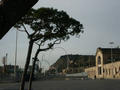 Beeldnr : 2 van 56
Naam : 05022203.jpg
Folder : fotos/jaren-200x/2005-2/barcelona/22-feb/
Formaat : 800 x 600px
Thumb : 120 x 90px
Richting : Landschap
Bloknr : 1 van 2
Beeldnrs : 1 tm 50
Beelden in blok : 50