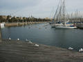 Beeldnr : 4 van 56
Naam : 05022205.jpg
Folder : fotos/jaren-200x/2005-2/barcelona/22-feb/
Formaat : 800 x 600px
Thumb : 120 x 90px
Richting : Landschap
Bloknr : 1 van 2
Beeldnrs : 1 tm 50
Beelden in blok : 50