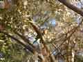 Beeldnr : 39 van 45
Naam : 05022346.jpg
Folder : fotos/jaren-200x/2005-2/barcelona/23-feb/
Formaat : 800 x 600px
Thumb : 120 x 90px
Richting : Landschap
Bloknr : 1 van 1
Beeldnrs : 1 tm 45
Beelden in blok : 45