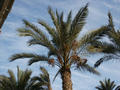 Beeldnr : 15 van 20
Naam : 05092825.jpg
Folder : fotos/jaren-200x/2005-2/eclipsreis-spanje/28-sep/
Formaat : 800 x 600px
Thumb : 120 x 90px
Richting : Landschap
Bloknr : 1 van 1
Beeldnrs : 1 tm 20
Beelden in blok : 20