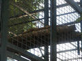 Beeldnr : 33 van 80
Naam : 05071043.jpg
Folder : fotos/jaren-200x/2005-2/rome/10-juli/
Formaat : 800 x 600px
Thumb : 120 x 90px
Richting : Landschap
Bloknr : 1 van 2
Beeldnrs : 1 tm 50
Beelden in blok : 50