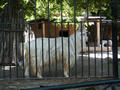 Beeldnr : 37 van 80
Naam : 05071049.jpg
Folder : fotos/jaren-200x/2005-2/rome/10-juli/
Formaat : 800 x 600px
Thumb : 120 x 90px
Richting : Landschap
Bloknr : 1 van 2
Beeldnrs : 1 tm 50
Beelden in blok : 50