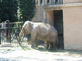 Beeldnr : 55 van 80
Naam : 05071071.jpg
Folder : fotos/jaren-200x/2005-2/rome/10-juli/
Formaat : 800 x 600px
Thumb : 120 x 90px
Richting : Landschap
Bloknr : 2 van 2
Beeldnrs : 51 tm 80
Beelden in blok : 30