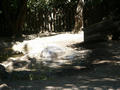 Beeldnr : 56 van 80
Naam : 05071072.jpg
Folder : fotos/jaren-200x/2005-2/rome/10-juli/
Formaat : 800 x 600px
Thumb : 120 x 90px
Richting : Landschap
Bloknr : 2 van 2
Beeldnrs : 51 tm 80
Beelden in blok : 30