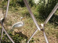 Beeldnr : 74 van 80
Naam : 05071091.jpg
Folder : fotos/jaren-200x/2005-2/rome/10-juli/
Formaat : 800 x 600px
Thumb : 120 x 90px
Richting : Landschap
Bloknr : 2 van 2
Beeldnrs : 51 tm 80
Beelden in blok : 30