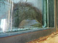 Beeldnr : 76 van 80
Naam : 05071094.jpg
Folder : fotos/jaren-200x/2005-2/rome/10-juli/
Formaat : 800 x 600px
Thumb : 120 x 90px
Richting : Landschap
Bloknr : 2 van 2
Beeldnrs : 51 tm 80
Beelden in blok : 30