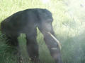 Beeldnr : 79 van 80
Naam : 05071097.jpg
Folder : fotos/jaren-200x/2005-2/rome/10-juli/
Formaat : 800 x 600px
Thumb : 120 x 90px
Richting : Landschap
Bloknr : 2 van 2
Beeldnrs : 51 tm 80
Beelden in blok : 30