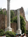 Beeldnr : 19 van 32
Naam : 05071127.jpg
Folder : fotos/jaren-200x/2005-2/rome/11-juli/
Formaat : 600 x 800px
Thumb : 90 x 120px
Richting : Portret
Bloknr : 1 van 1
Beeldnrs : 1 tm 32
Beelden in blok : 32
