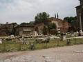 Beeldnr : 21 van 32
Naam : 05071130.jpg
Folder : fotos/jaren-200x/2005-2/rome/11-juli/
Formaat : 800 x 600px
Thumb : 120 x 90px
Richting : Landschap
Bloknr : 1 van 1
Beeldnrs : 1 tm 32
Beelden in blok : 32