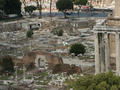 Beeldnr : 30 van 32
Naam : 05071139.jpg
Folder : fotos/jaren-200x/2005-2/rome/11-juli/
Formaat : 800 x 600px
Thumb : 120 x 90px
Richting : Landschap
Bloknr : 1 van 1
Beeldnrs : 1 tm 32
Beelden in blok : 32