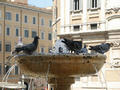 Beeldnr : 13 van 30
Naam : 05071333.jpg
Folder : fotos/jaren-200x/2005-2/rome/13-juli/
Formaat : 800 x 600px
Thumb : 120 x 90px
Richting : Landschap
Bloknr : 1 van 1
Beeldnrs : 1 tm 30
Beelden in blok : 30