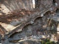Beeldnr : 8 van 28
Naam : 05071609.jpg
Folder : fotos/jaren-200x/2005-2/rome/16-juli/
Formaat : 800 x 600px
Thumb : 120 x 90px
Richting : Landschap
Bloknr : 1 van 1
Beeldnrs : 1 tm 28
Beelden in blok : 28