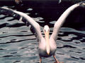 Beeldnr : 20 van 25
Naam : du07-r1-20.jpg
Folder : fotos/jaren-200x/2007-2/duitsland/rolletje-1/
Formaat : 800 x 600px
Thumb : 120 x 90px
Richting : Landschap
Bloknr : 1 van 1
Beeldnrs : 1 tm 25
Beelden in blok : 25