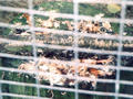Beeldnr : 24 van 25
Naam : du07-r1-24.jpg
Folder : fotos/jaren-200x/2007-2/duitsland/rolletje-1/
Formaat : 800 x 600px
Thumb : 120 x 90px
Richting : Landschap
Bloknr : 1 van 1
Beeldnrs : 1 tm 25
Beelden in blok : 25
