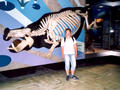 Beeldnr : 24 van 34
Naam : du07-r2-25a.jpg
Folder : fotos/jaren-200x/2007-2/duitsland/rolletje-2/
Formaat : 800 x 600px
Thumb : 120 x 90px
Richting : Landschap
Bloknr : 1 van 1
Beeldnrs : 1 tm 34
Beelden in blok : 34