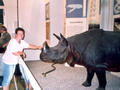 Beeldnr : 26 van 34
Naam : du07-r2-27a.jpg
Folder : fotos/jaren-200x/2007-2/duitsland/rolletje-2/
Formaat : 800 x 600px
Thumb : 120 x 90px
Richting : Landschap
Bloknr : 1 van 1
Beeldnrs : 1 tm 34
Beelden in blok : 34