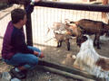 Beeldnr : 8 van 28
Naam : r2-08a.jpg
Folder : fotos/jaren-200x/2007-2/kreta/rolletje-2/
Formaat : 800 x 600px
Thumb : 120 x 90px
Richting : Landschap
Bloknr : 1 van 1
Beeldnrs : 1 tm 28
Beelden in blok : 28