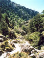 Beeldnr : 28 van 28
Naam : r2-28a.jpg
Folder : fotos/jaren-200x/2007-2/kreta/rolletje-2/
Formaat : 600 x 800px
Thumb : 90 x 120px
Richting : Portret
Bloknr : 1 van 1
Beeldnrs : 1 tm 28
Beelden in blok : 28