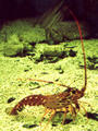Beeldnr : 18 van 28
Naam : r3-17a.jpg
Folder : fotos/jaren-200x/2007-2/kreta/rolletje-3/
Formaat : 600 x 800px
Thumb : 90 x 120px
Richting : Portret
Bloknr : 1 van 1
Beeldnrs : 1 tm 28
Beelden in blok : 28