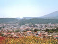 Beeldnr : 22 van 28
Naam : r3-22a.jpg
Folder : fotos/jaren-200x/2007-2/kreta/rolletje-3/
Formaat : 800 x 600px
Thumb : 120 x 90px
Richting : Landschap
Bloknr : 1 van 1
Beeldnrs : 1 tm 28
Beelden in blok : 28