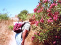 Beeldnr : 28 van 28
Naam : r3-28a.jpg
Folder : fotos/jaren-200x/2007-2/kreta/rolletje-3/
Formaat : 800 x 600px
Thumb : 120 x 90px
Richting : Landschap
Bloknr : 1 van 1
Beeldnrs : 1 tm 28
Beelden in blok : 28