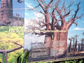 Beeldnr : 15 van 27
Naam : ah08-r2-08.jpg
Folder : fotos/jaren-200x/2008-2/apenheul-apeldoorn/juli/
Formaat : 800 x 600px
Thumb : 120 x 90px
Richting : Landschap
Bloknr : 1 van 1
Beeldnrs : 1 tm 27
Beelden in blok : 27