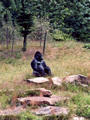Beeldnr : 22 van 27
Naam : ah08-r2-15.jpg
Folder : fotos/jaren-200x/2008-2/apenheul-apeldoorn/juli/
Formaat : 600 x 800px
Thumb : 90 x 120px
Richting : Portret
Bloknr : 1 van 1
Beeldnrs : 1 tm 27
Beelden in blok : 27